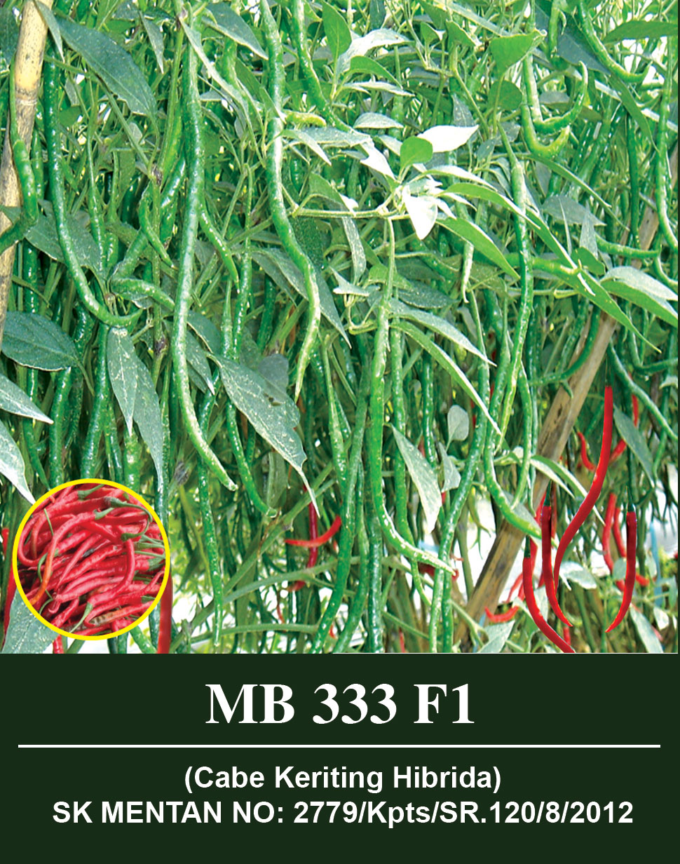 mb-333.jpg