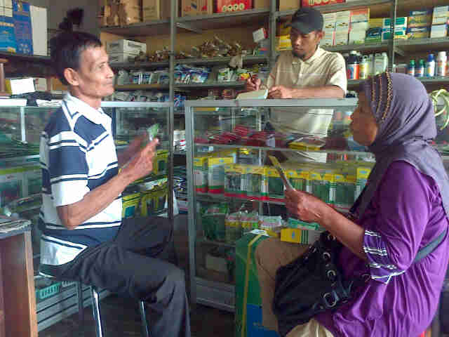 Petani Garongan KulonProgo Sedang Membeli Benih Helix Tanindo (12pcs)  Dii Dealer Sri Rejeki Utk Menanam Musim Ke 2 Sekarang. Awal Nya Yg Ditanya KIYO (kosong Deeeh)
