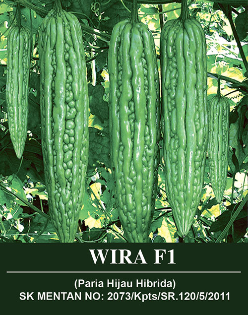 WIRA F1